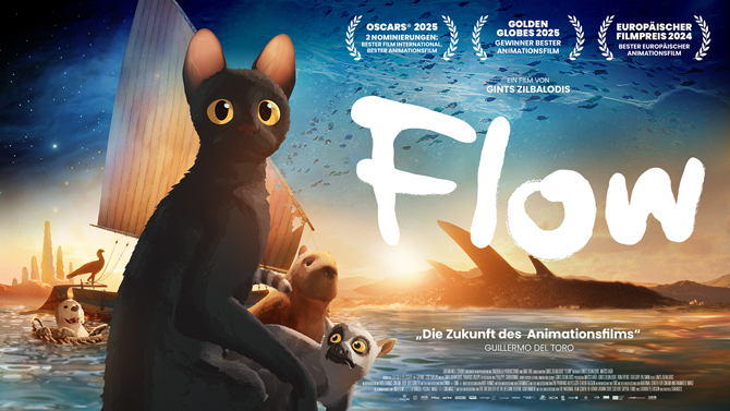 Flow Animation Film Kino