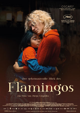 Das geheimnisvolle Blick des Flamingos Kino Poster