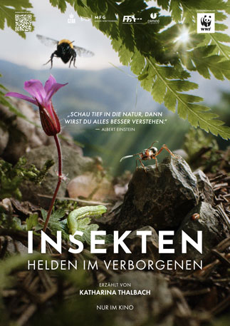 Insekten Helden im Verborgenen Kino Poster 01